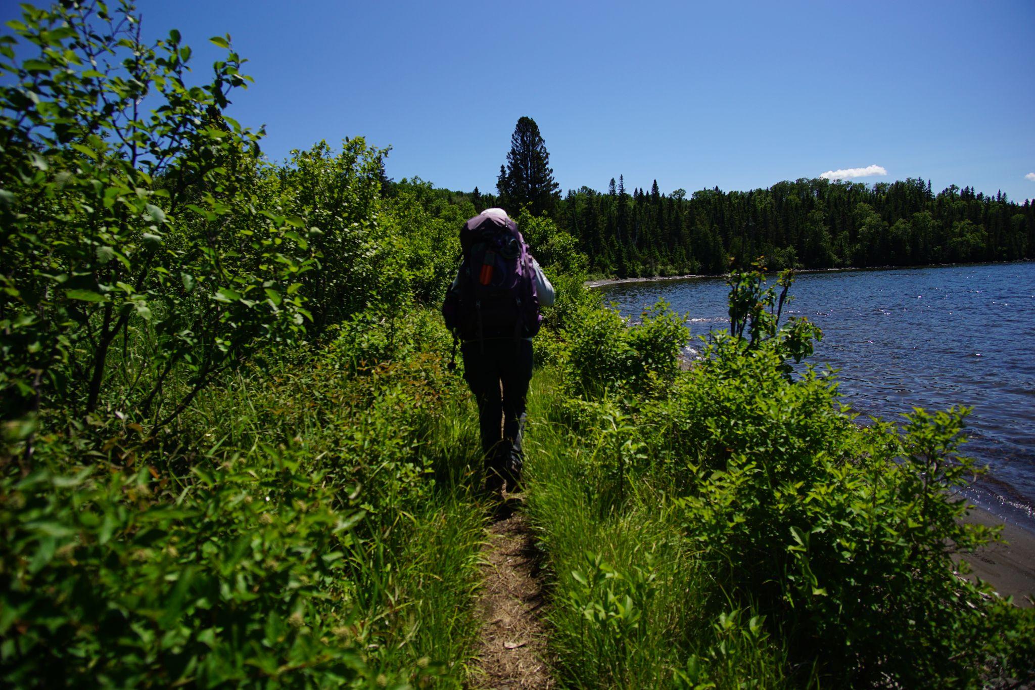 Image 8
