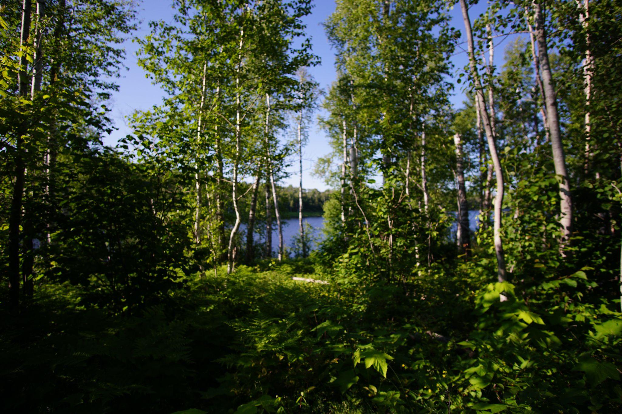 We chose from the four remaining spots by the very scientific method of me standing in the middle and waiting for mosquitos to bite me. We set up camp at the one with the longest time it took for me to have to swat a mosquito. We made our way down to the lake to filter water.