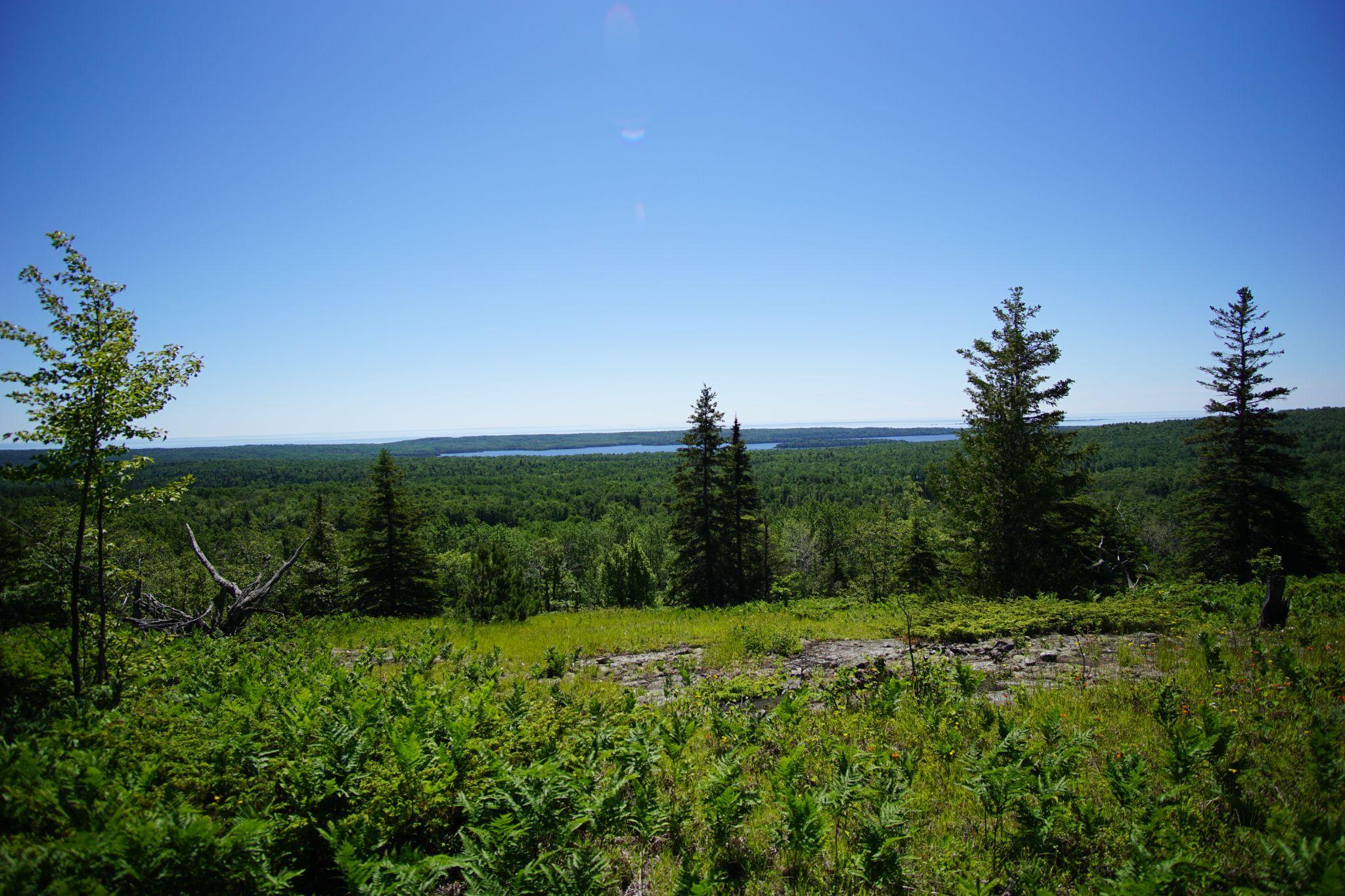 Greenstone Ridge Looking Towards Superior