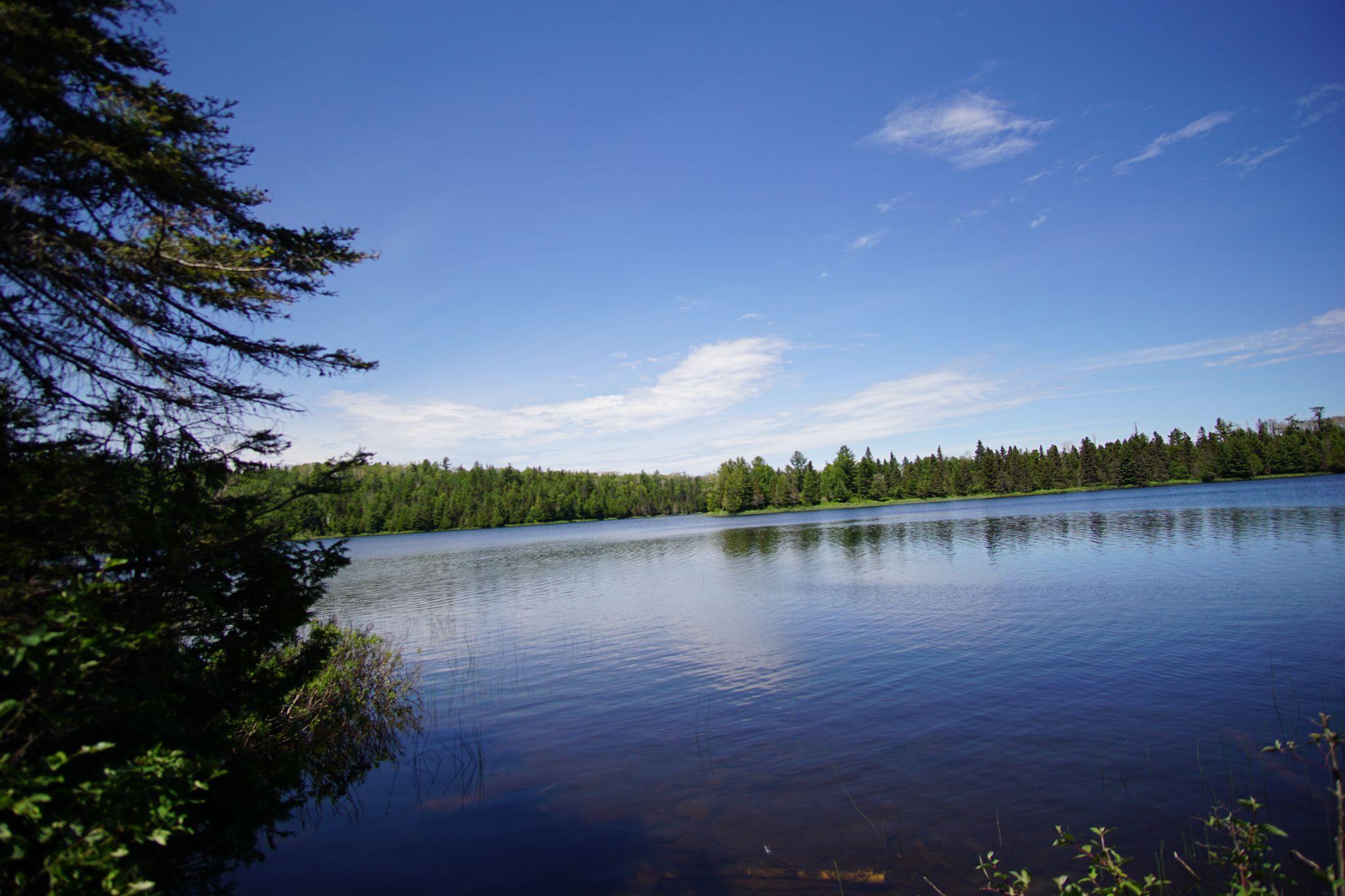 Chickenbone Lake: Site of the 2024 Mosquito Massacre