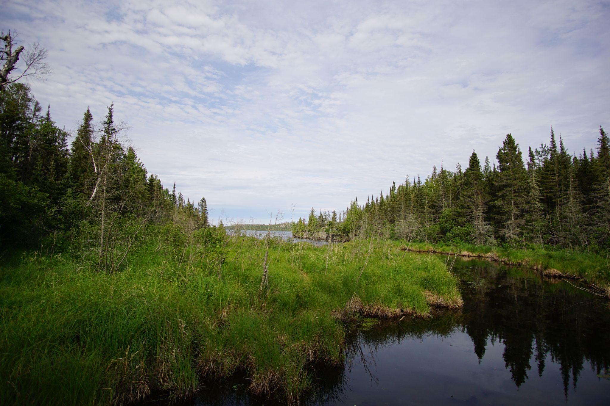 Moskey Basin