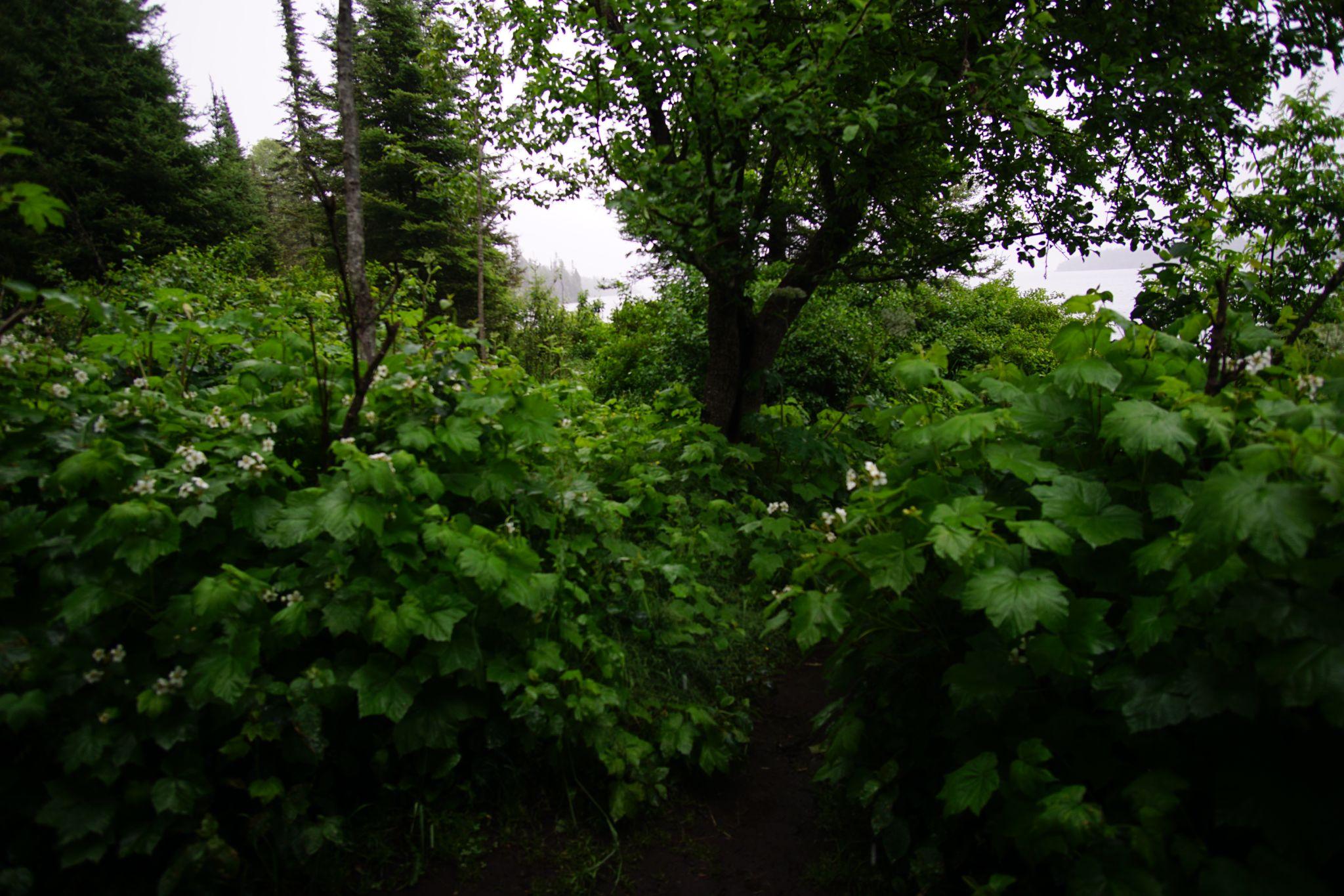Rain, Rain Here to Stay
