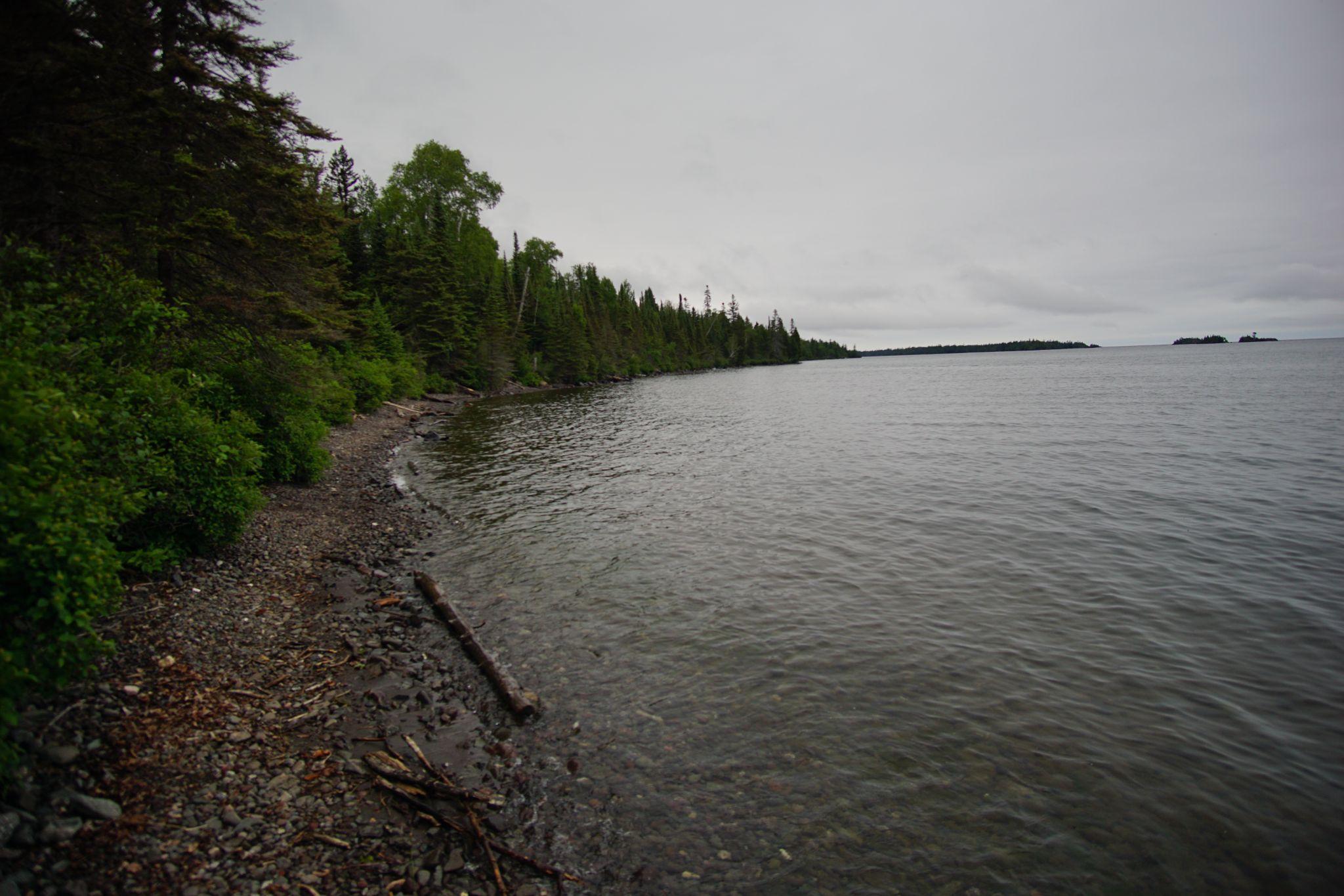 Cove Walk