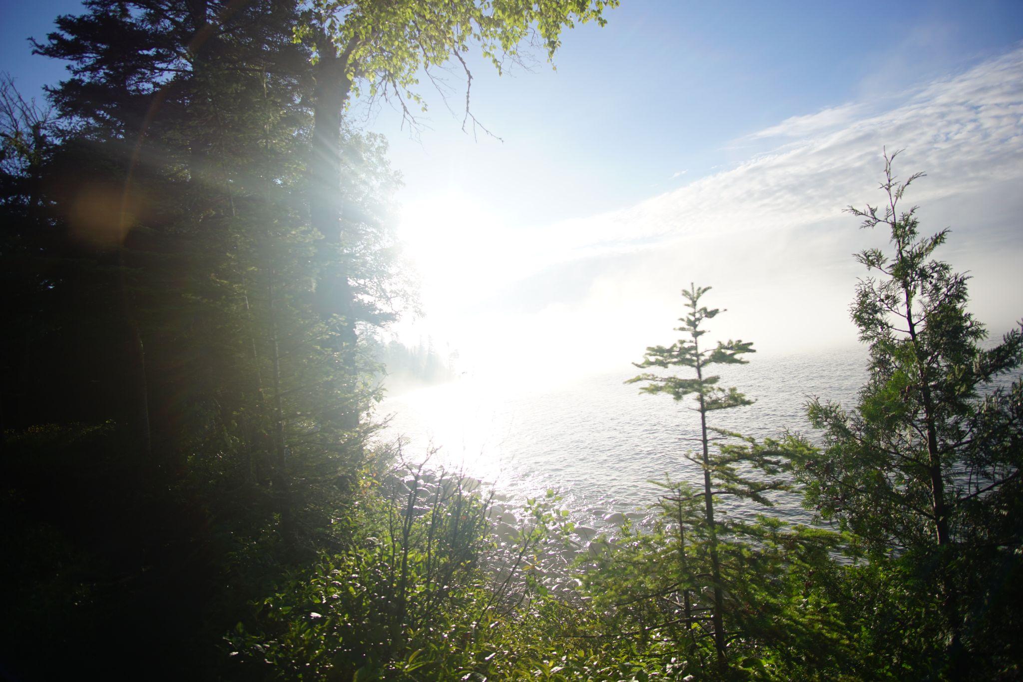 Sun Shining Near Three Mile Campground