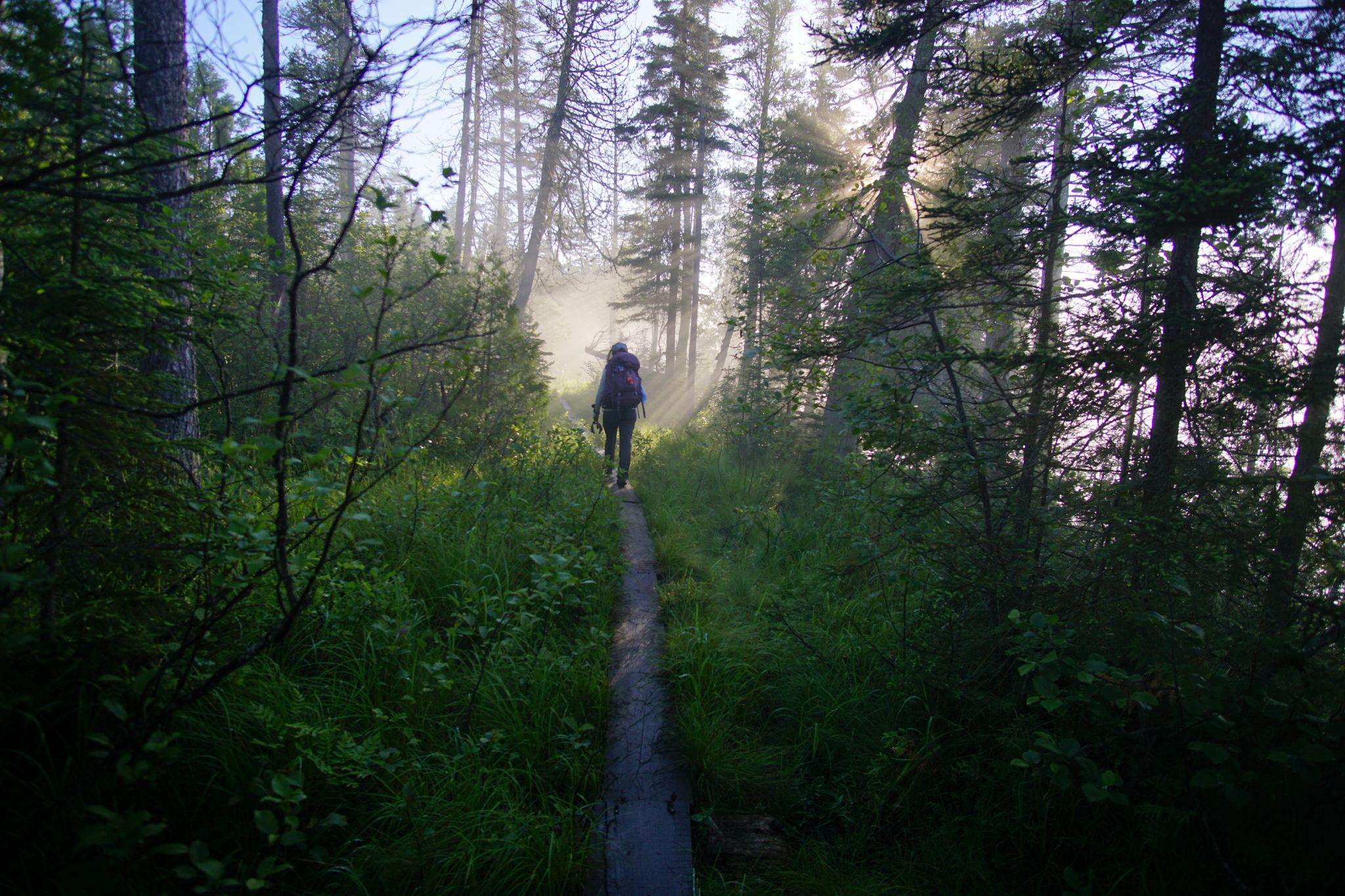 Morning Hike on Isle Royale