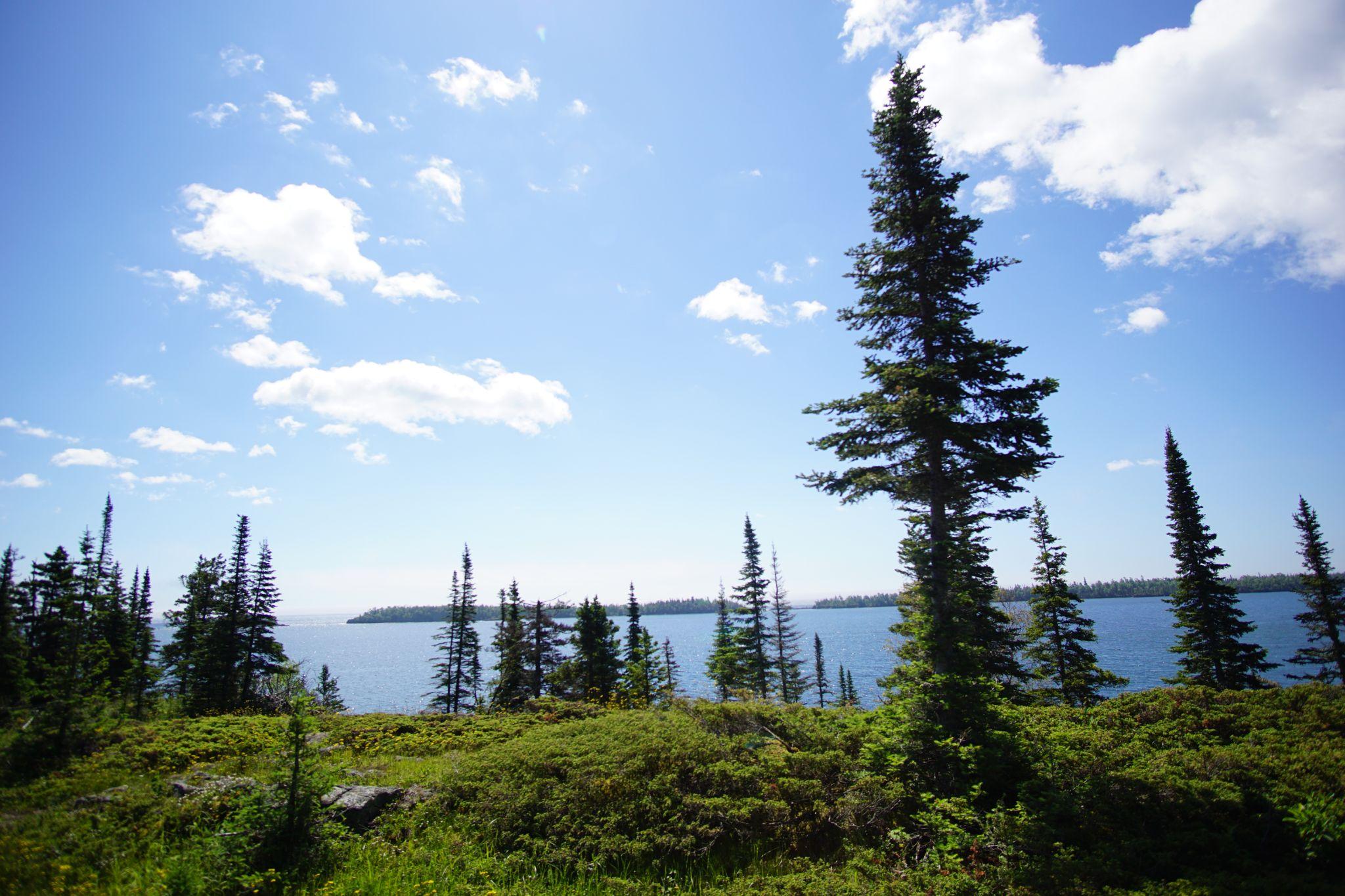 View on the Scoville Trail