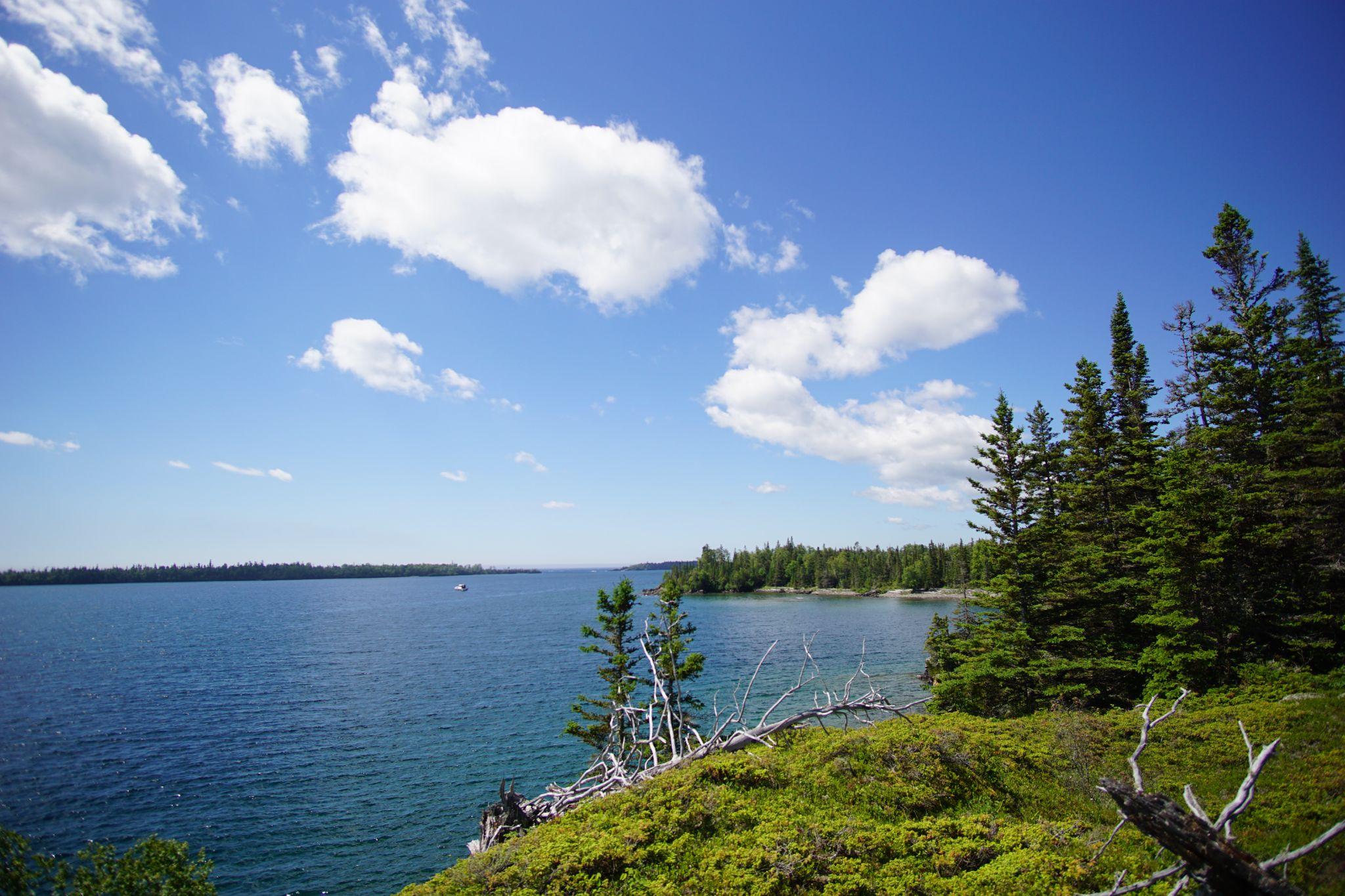Another Pretty Picture if I Do Say So Myself - Look at that Water, and the Drift Wood!
