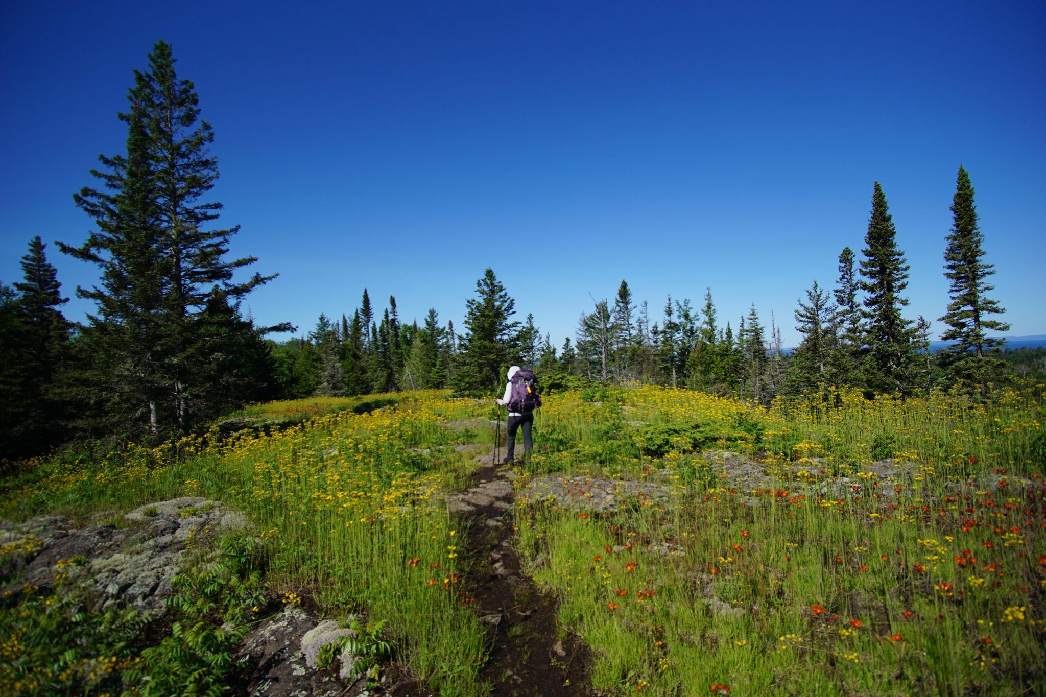 On top of the ridge, we walked through miles of wildflowers blooming with expansive views on either side.