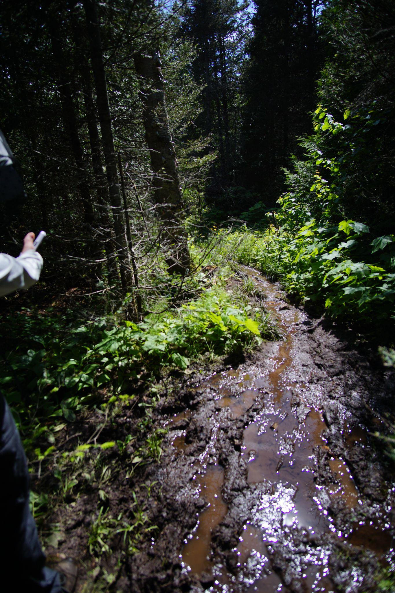 And then there was mud - for miles.