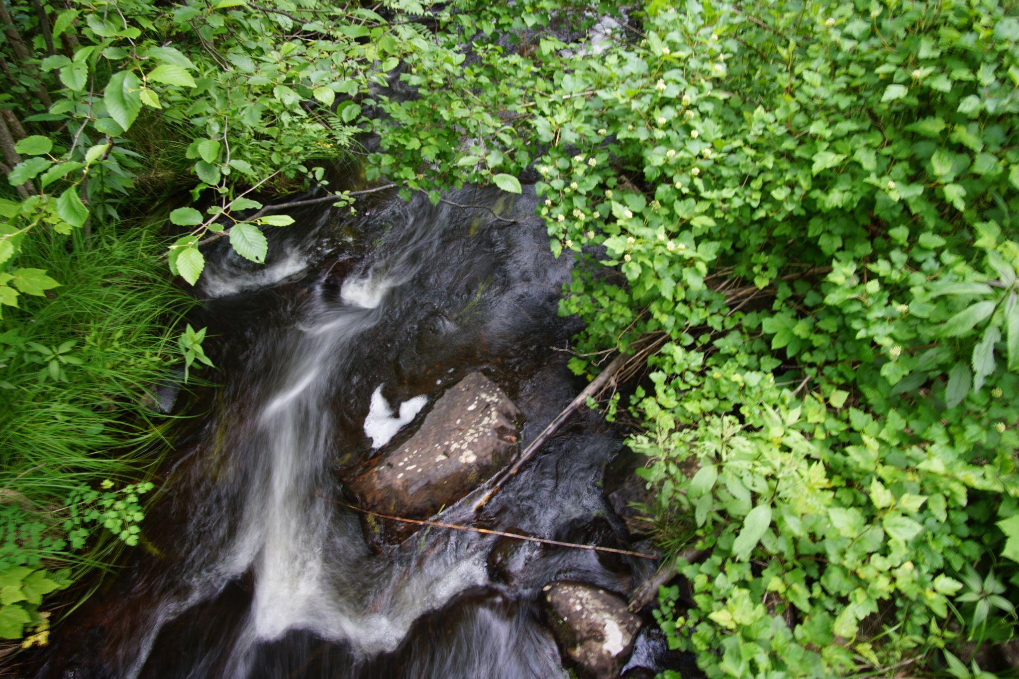 River