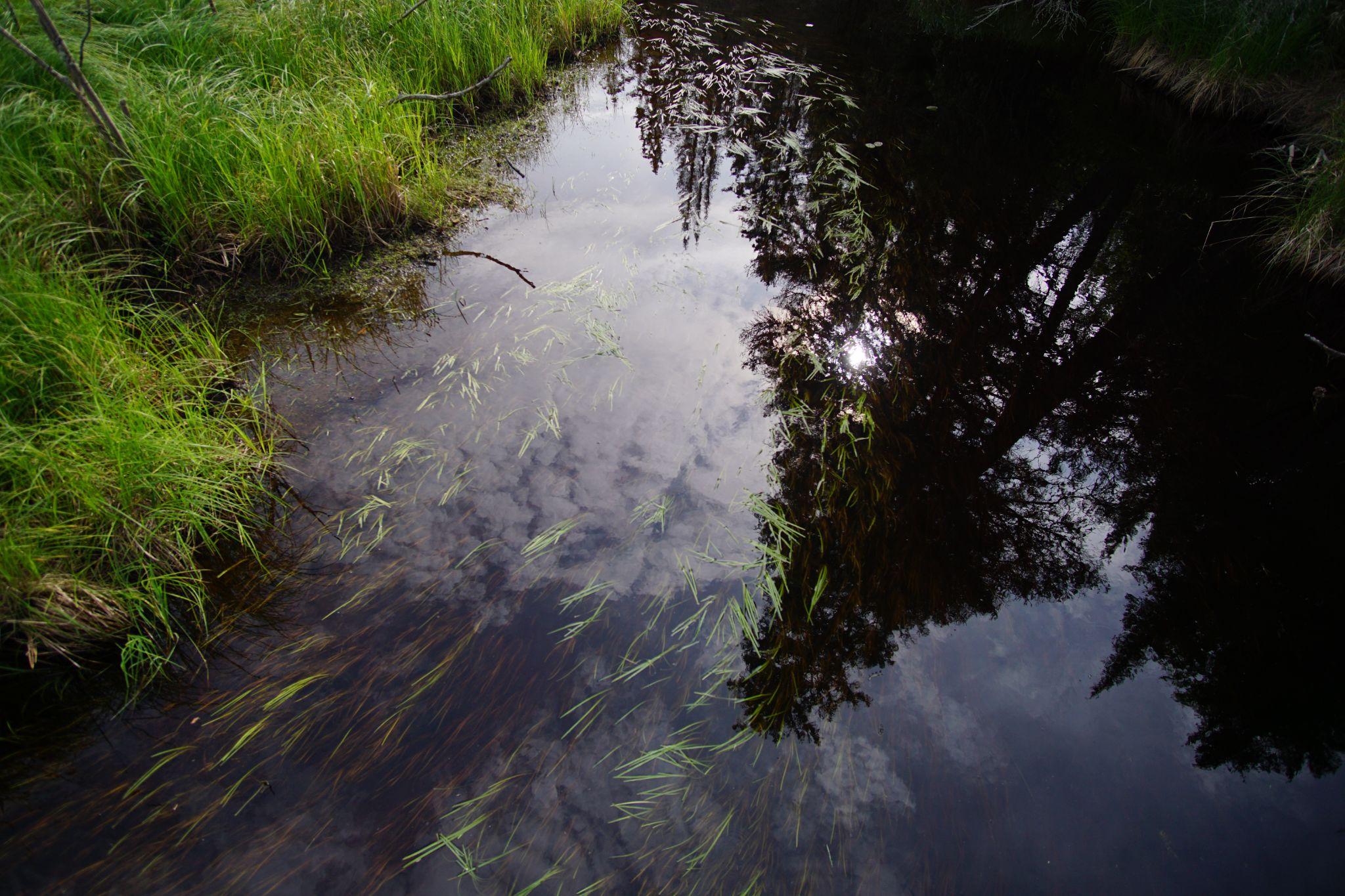 Reflection