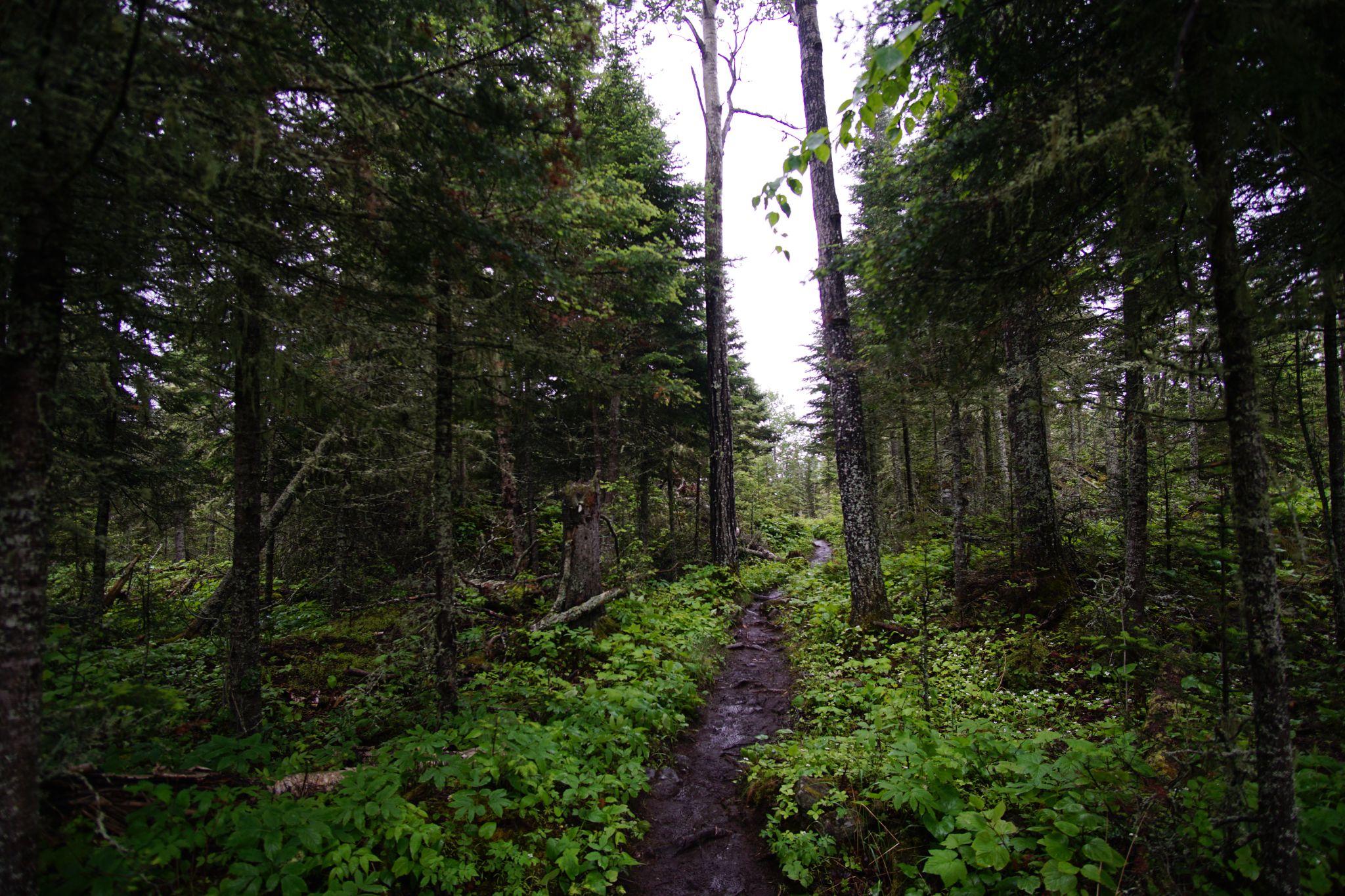 Hiking North.