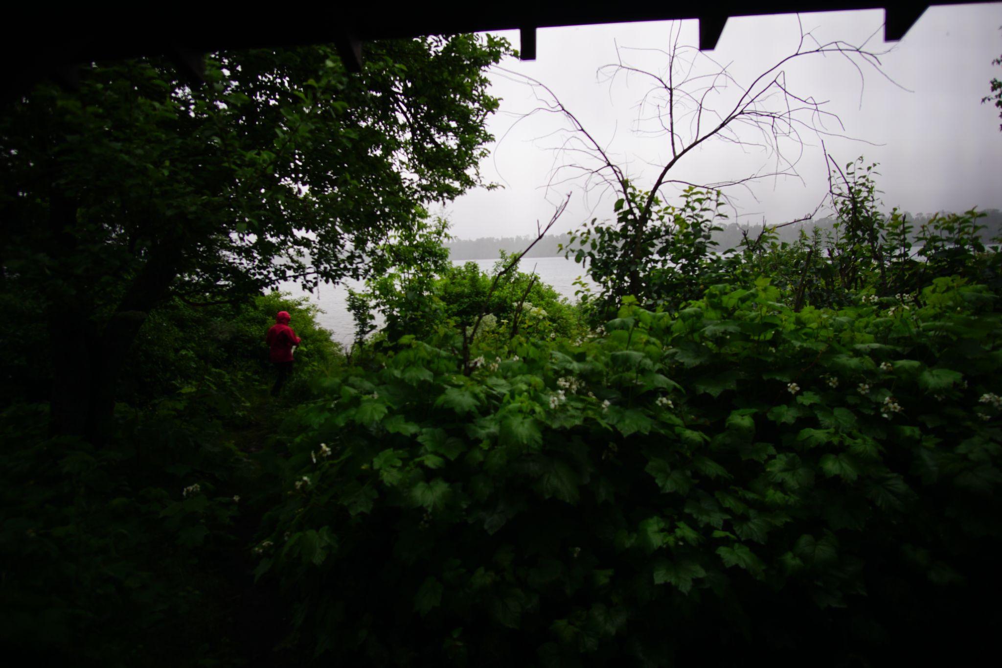 Downpour