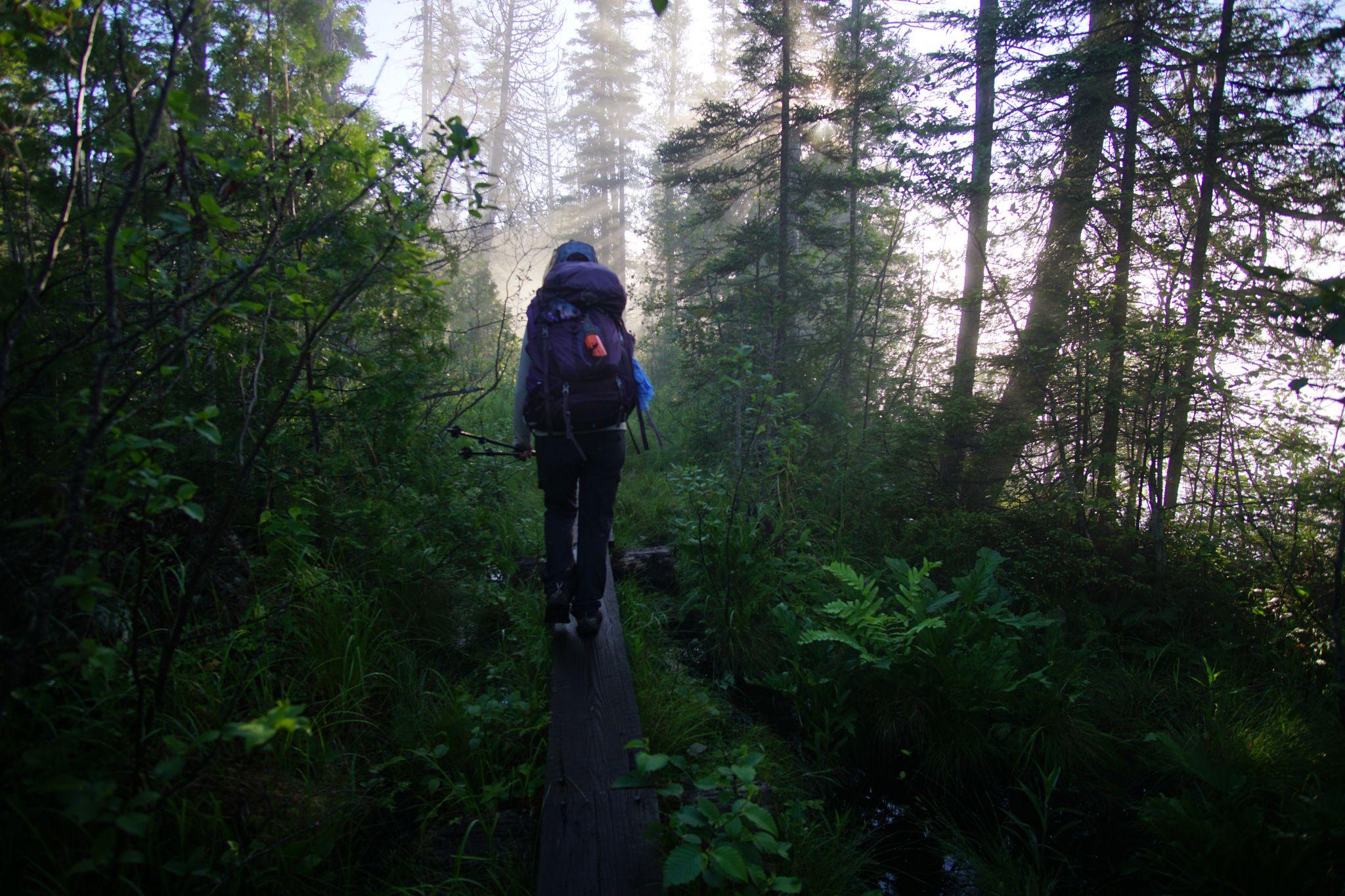 The mist enveloped the morning as we hiked through the damp foliage.