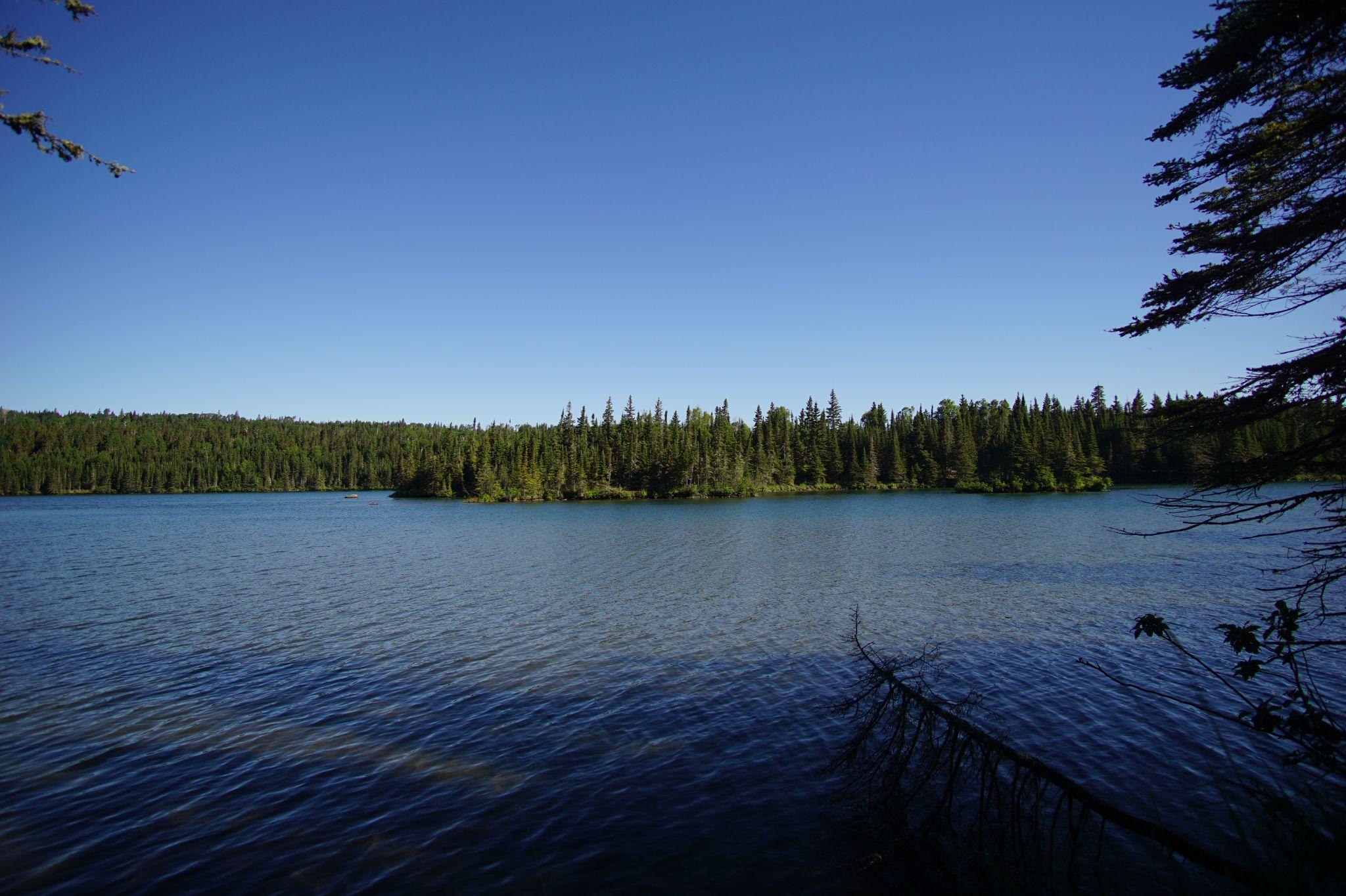Tobin Harbor