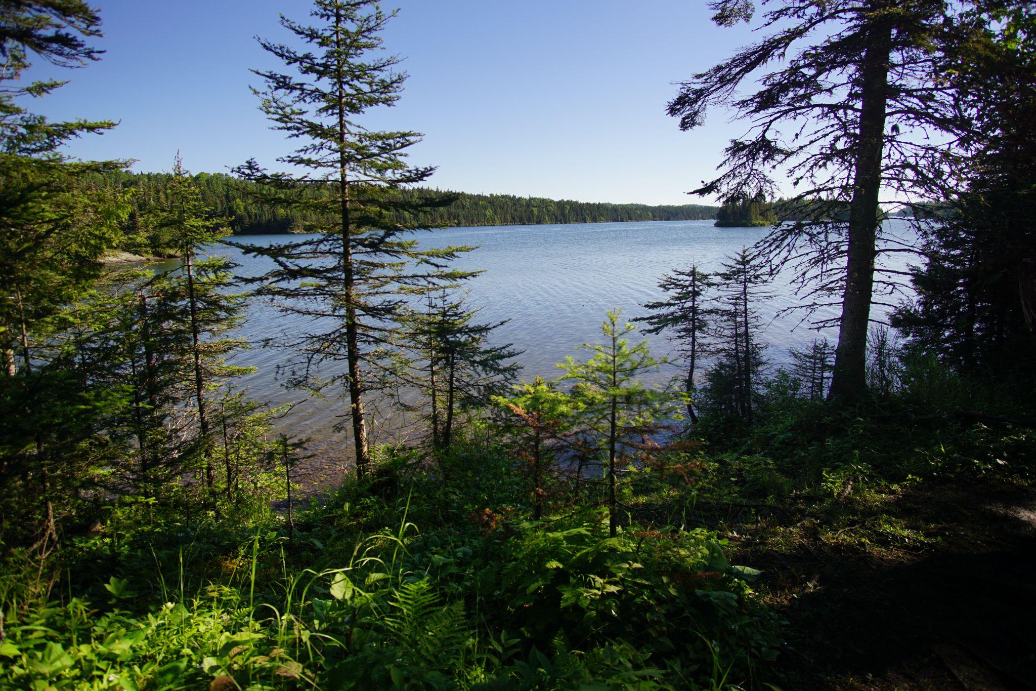 Another view of Tobin Harbor.